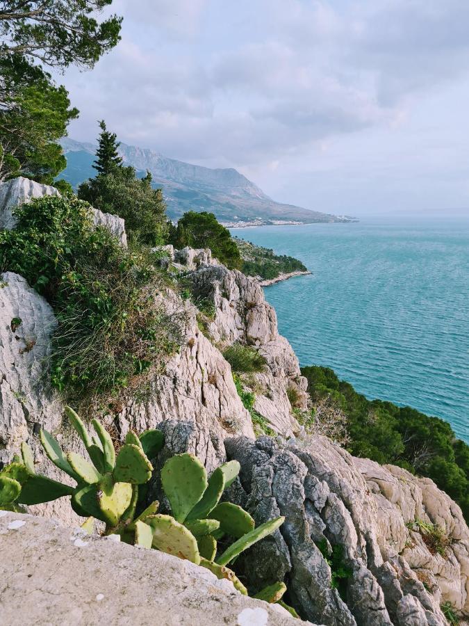 Apartment Ivona With Beautiful Seaview Макарска Екстериор снимка